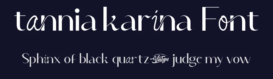 Tannia Karina Font by VinType — Display Font — thumbnail 2