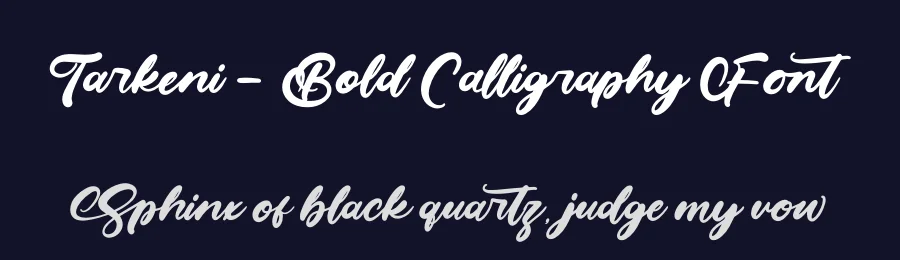 Tarkeni – Bold Calligraphy Font by letterenastudios — Script Handwritten Font — thumbnail 2