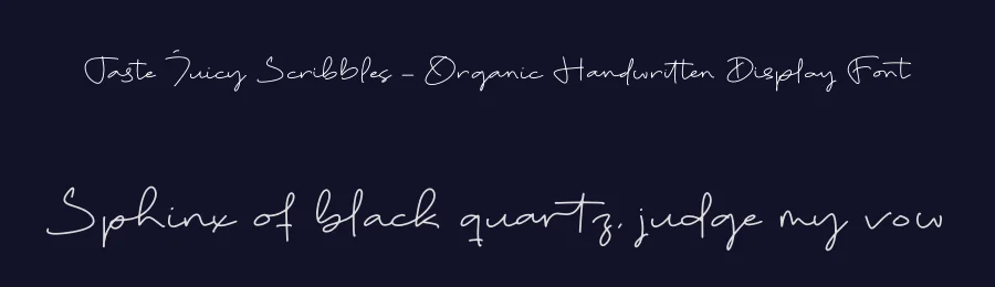 Taste Juicy Scribbles – Organic Handwritten Display Font by stylishtype.co — Script Handwritten Font — thumbnail 2