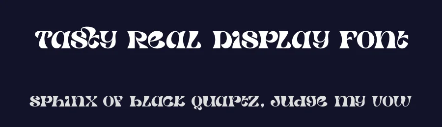 Tasty Real Display Font by timelesstype.co — Serif Font — thumbnail 2