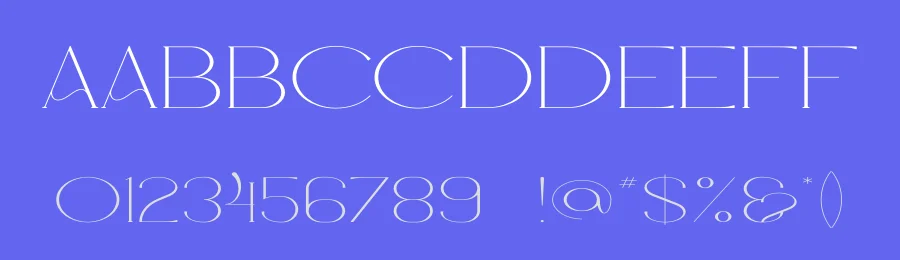 Tayla Font by vpcreativeshop — Serif Font — thumbnail 3