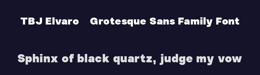 TBJ Elvaro – Grotesque Sans Family Font by Taboja Std — Decorative Font — thumbnail 2