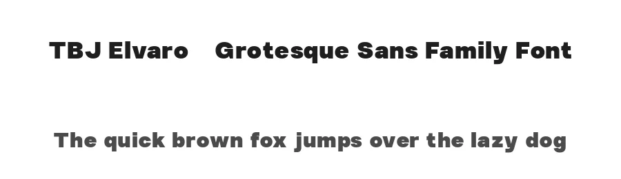 TBJ Elvaro – Grotesque Sans Family Font by Taboja Std — Decorative Font