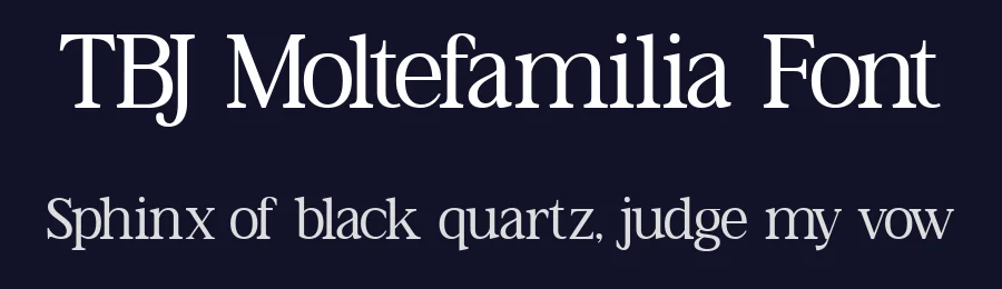 TBJ Moltefamilia Font by Taboja Std — Serif Font — thumbnail 2