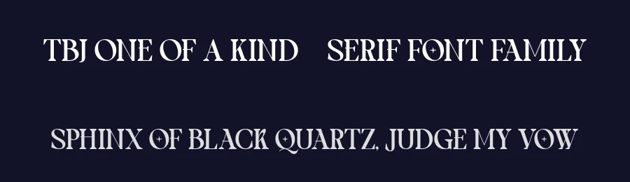 TBJ One Of A Kind – Serif Font Family by Taboja Std — Serif Font — thumbnail 2