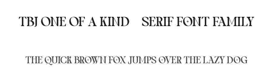 TBJ One Of A Kind – Serif Font Family by Taboja Std — Serif Font