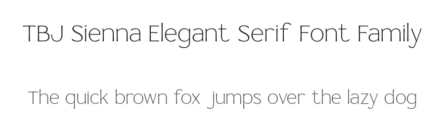TBJ Sienna Elegant Serif Font Family by Taboja Std — Serif Font
