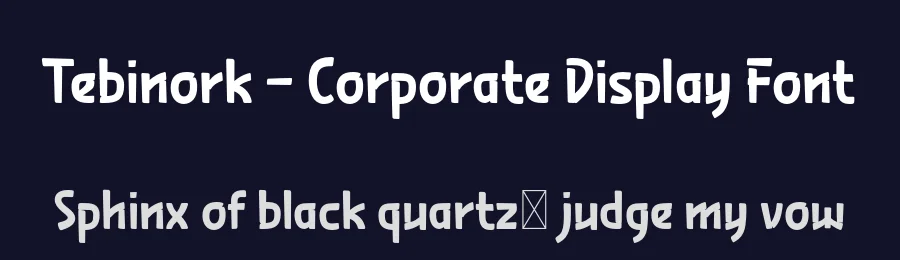 Tebinork – Corporate Display Font by productype — Display Font — thumbnail 2