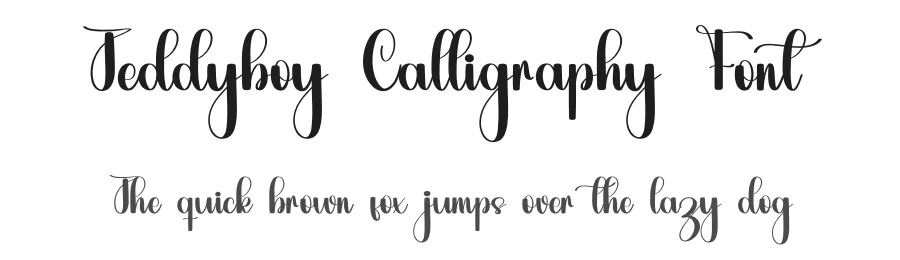 Teddyboy Calligraphy Font by inermediaSTUDIO — Script Handwritten Font