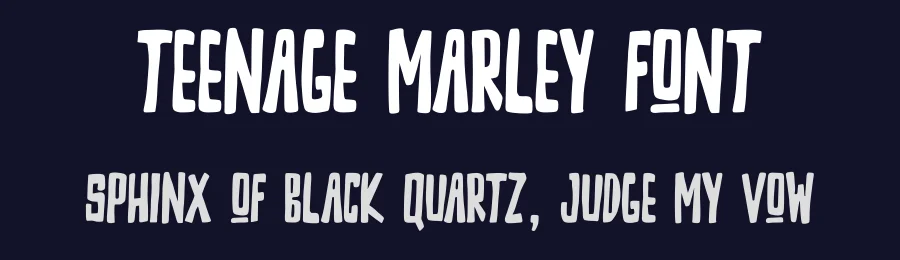 Teenage Marley Font by Teenage Foundry — Display Font — thumbnail 2