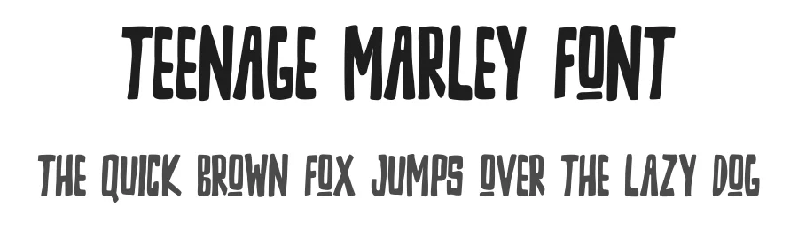 Teenage Marley Font by Teenage Foundry — Display Font
