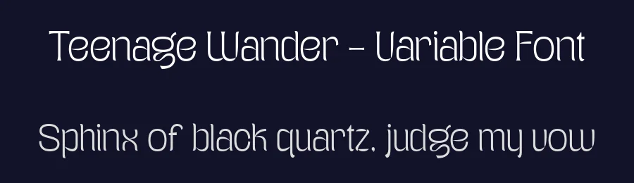 Teenage Wander – Variable Font by Teenage Foundry — Display Font — thumbnail 2