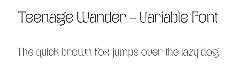 Teenage Wander – Variable Font by Teenage Foundry — Display Font