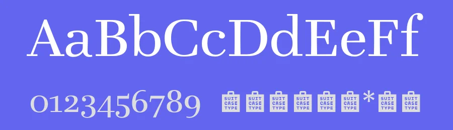 Teimer Font Family by Suitcase Type Foundry — Serif Font — thumbnail 3