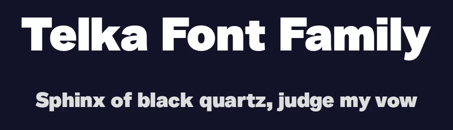 Telka Font Family by BumbumType — Sans Serif Font — thumbnail 2