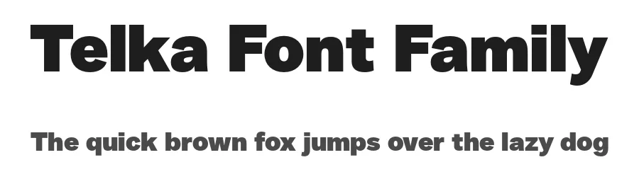Telka Font Family by BumbumType — Sans Serif Font