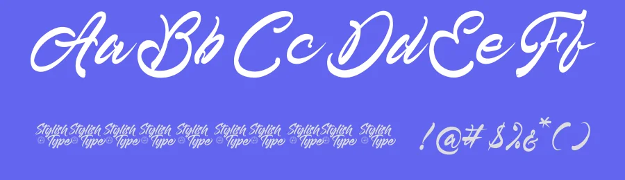 Telmi Bonsha – Elegant Brush Script Font by stylishtype.co — Script Handwritten Font — thumbnail 3