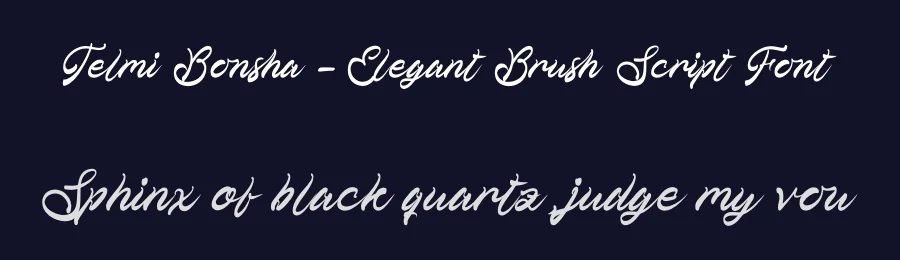 Telmi Bonsha – Elegant Brush Script Font by stylishtype.co — Script Handwritten Font — thumbnail 2
