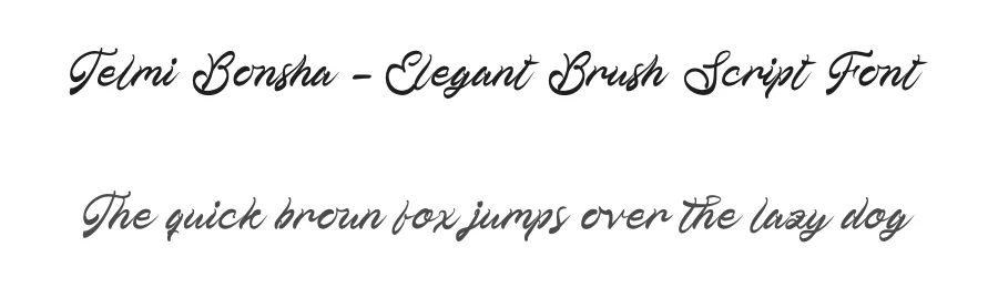 Telmi Bonsha – Elegant Brush Script Font by stylishtype.co — Script Handwritten Font