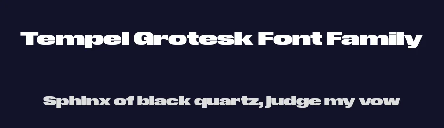 Tempel Grotesk Font Family by Production Type — Sans Serif Font — thumbnail 2
