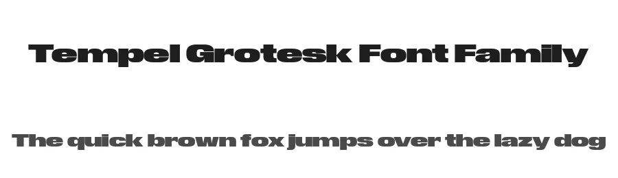 Tempel Grotesk Font Family by Production Type — Sans Serif Font