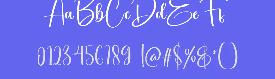 Temperature Script Font by creativeletter — Script Handwritten Font — thumbnail 3
