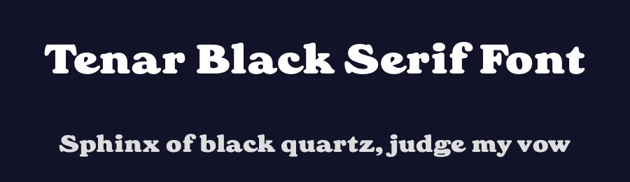 Tenar Black Serif Font by Wahyu and Sani Co. — Serif Font — thumbnail 2