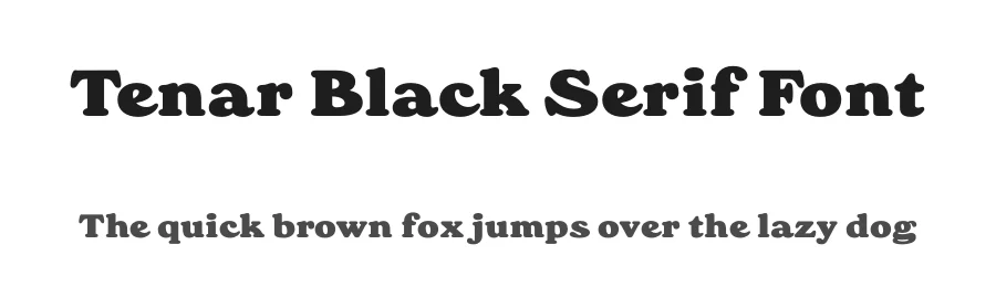 Tenar Black Serif Font by Wahyu and Sani Co. — Serif Font