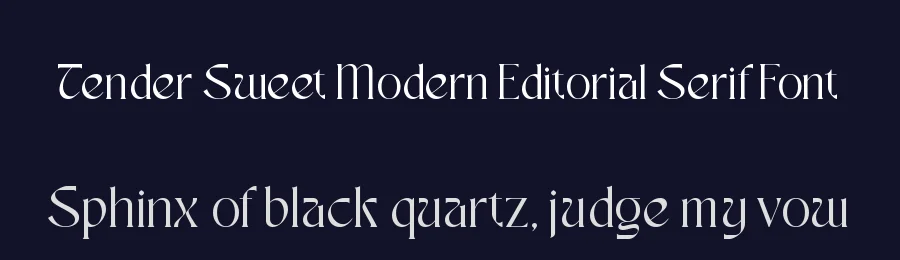 Tender Sweet Modern Editorial Serif Font by Amorfa Type — Display Font — thumbnail 2