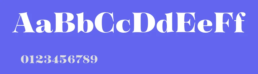Tenez Font Family by Plau — Serif Font — thumbnail 3