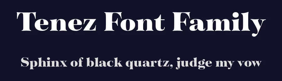 Tenez Font Family by Plau — Serif Font — thumbnail 2