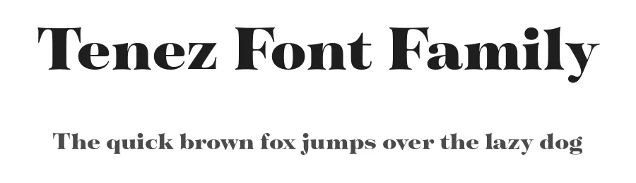 Tenez Font Family by Plau — Serif Font