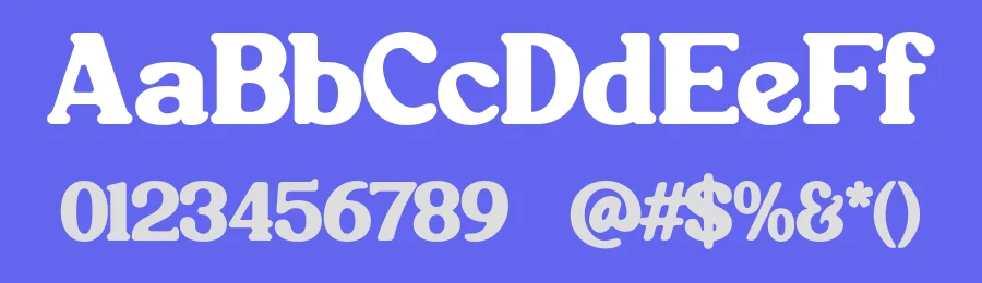 Terakota Serif Font by Pikgura Type — Display Font — thumbnail 3
