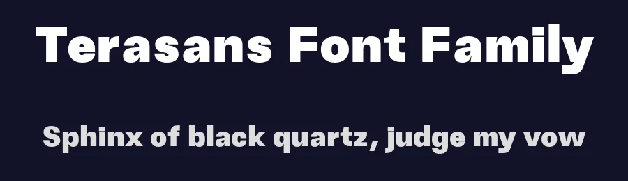 Terasans Font Family by Icreatype — Display Font — thumbnail 2