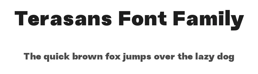 Terasans Font Family by Icreatype โ Display Font