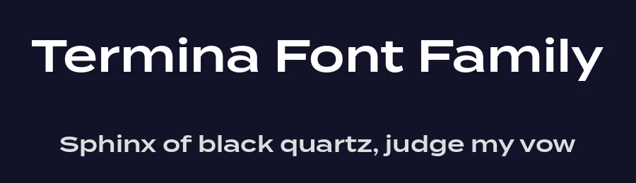 Termina Font Family by Fort Foundry — Sans Serif Font — thumbnail 2