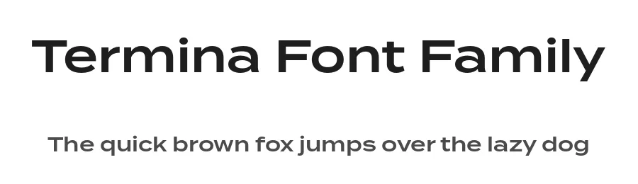 Termina Font Family by Fort Foundry — Sans Serif Font