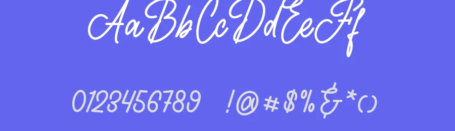Texas – A Casual Script Font by dilbadil — Script Handwritten Font — thumbnail 3