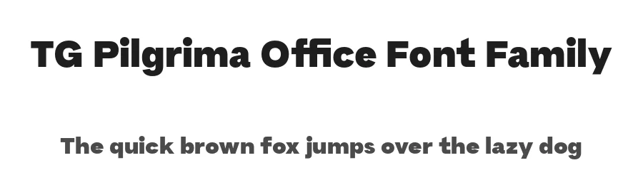 TG Pilgrima Office Font Family by Tegami Type β Sans Serif Font