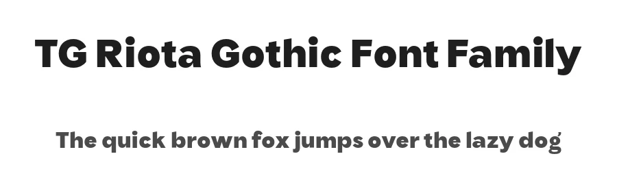 TG Riota Gothic Font Family by Tegami Type β Sans Serif Font