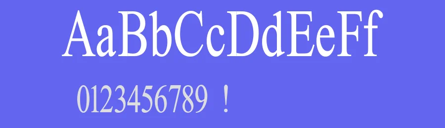 That That New Roman Font by That That Creative — Serif Font — thumbnail 3