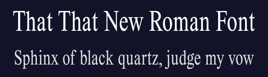 That That New Roman Font by That That Creative — Serif Font — thumbnail 2