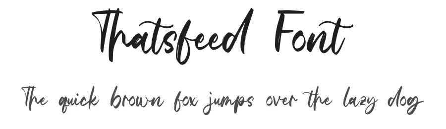 Thatsfeed Font by qwrtype — Script Handwritten Font