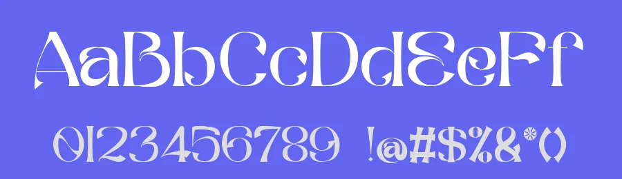 The Bafger Serif Font by Muksal Creative — Serif Font — thumbnail 3