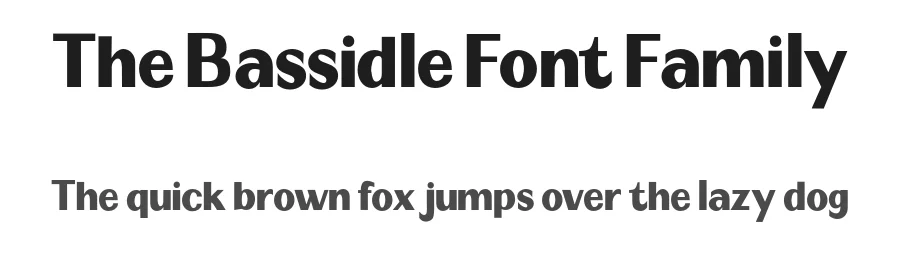 The Bassidle Font Family by josstype — Sans Serif Font