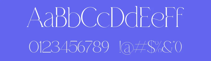 The Berlin Font by Look Minus Today — Serif Font — thumbnail 3