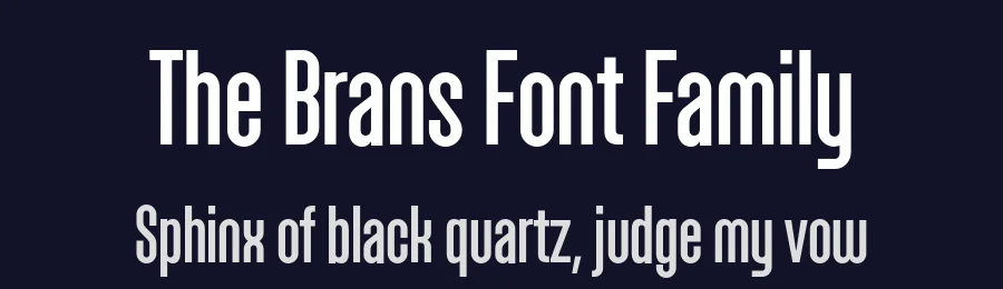 The Brans Font Family by Ckhans Fonts — Sans Serif Font — thumbnail 2
