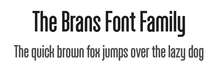 The Brans Font Family by Ckhans Fonts — Sans Serif Font