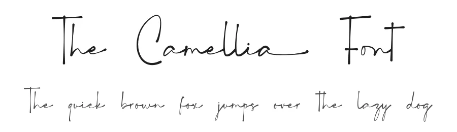 The Camellia Font by Bluestype Studio — Script Handwritten Font