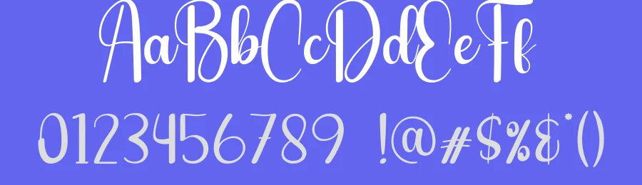 The Chubby Script Font by creativeletter — Script Handwritten Font — thumbnail 3